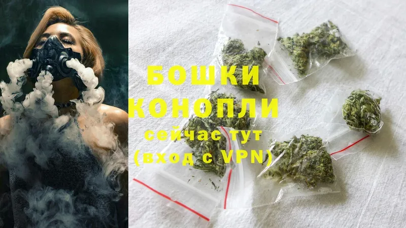 Канабис OG Kush  Знаменск 